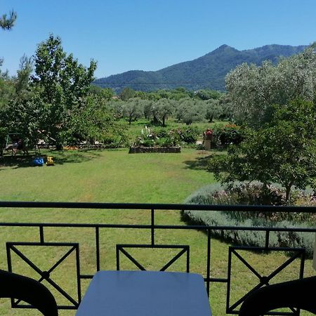 Nostos Studios Golden Beach Хрисі-Амудья Номер фото